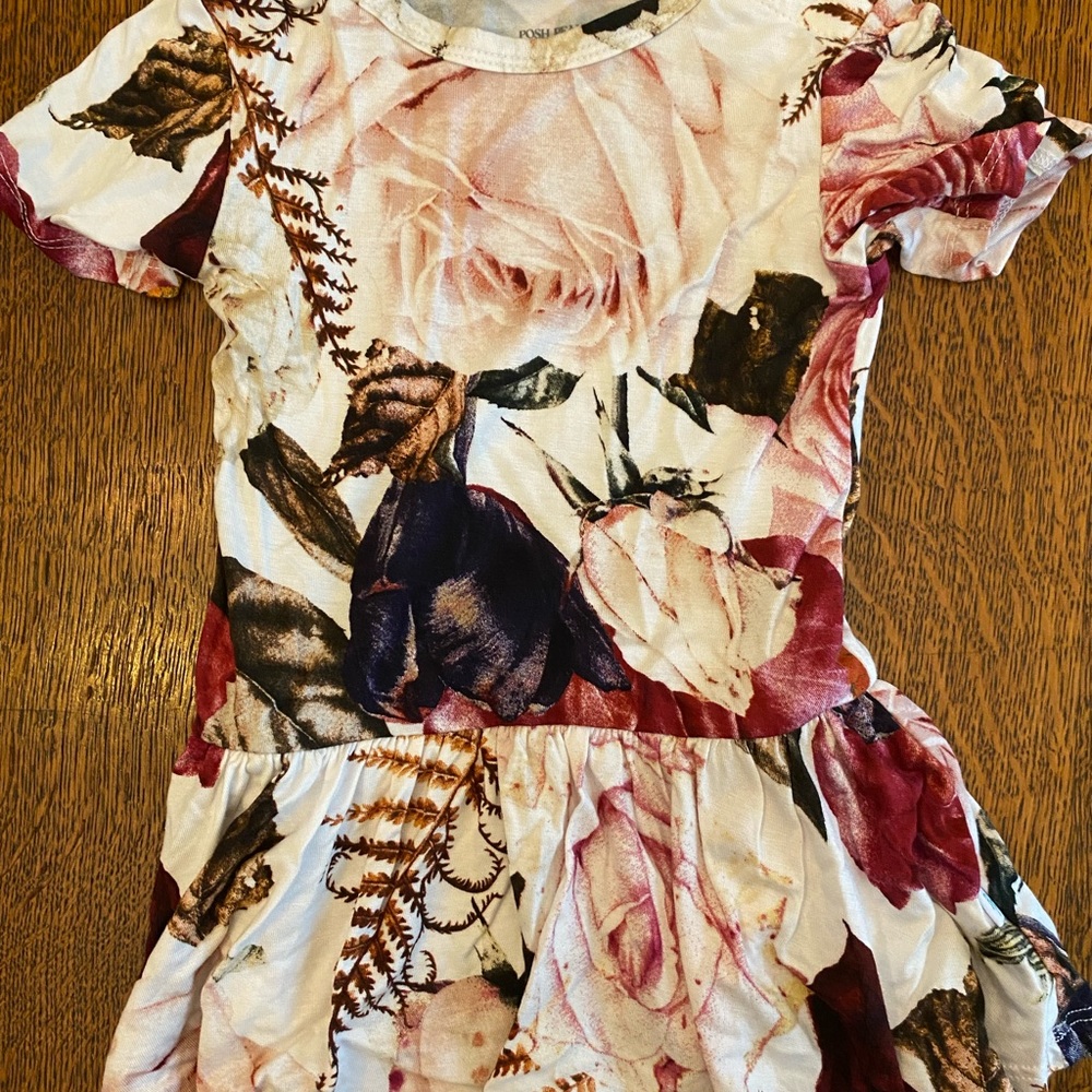 Posh Peanut 12-18 month onesie dress